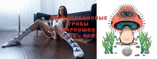 гидра Дмитров