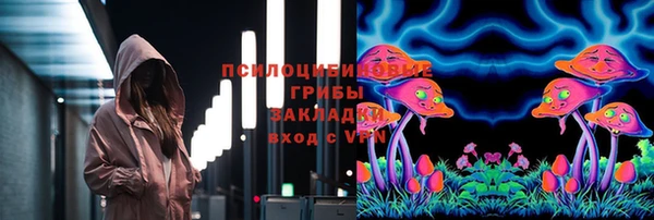 метадон Дмитриев