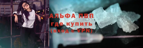 гидра Дмитров