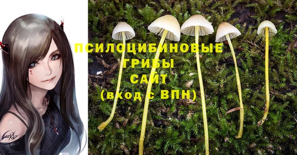 гидра Дмитров