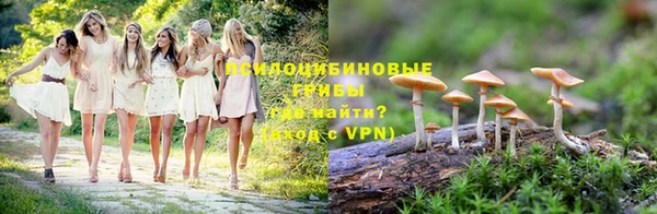 метадон Дмитриев