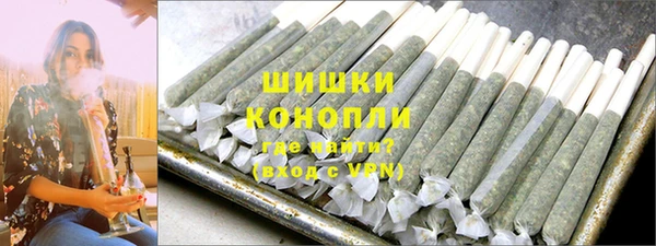 гидра Дмитров