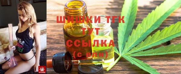метадон Дмитриев
