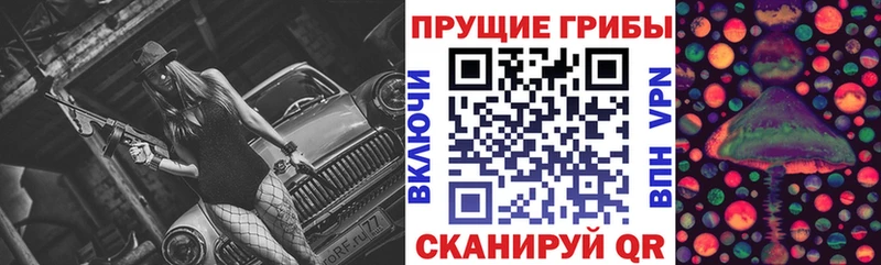 сколько стоит  Подольск  Галлюциногенные грибы Psilocybe 