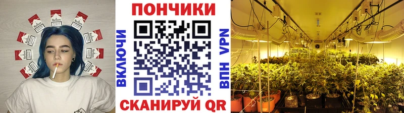 сайты даркнета телеграм  Подольск  МЕГА ссылки  Канабис THC 21%  где найти  